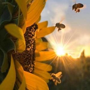 Meet your Posher, Isabel